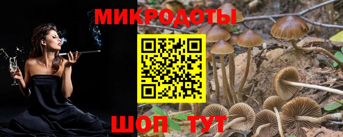 Семилуки  Галлюциногенные грибы GOLDEN TEACHER  закладка  Галлюциногенные грибы прущие грибы  Вход с VPN 